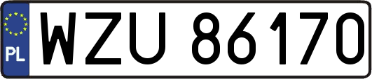 WZU86170