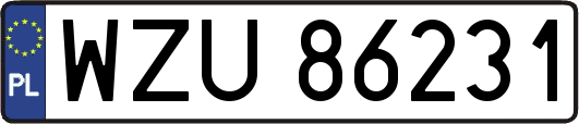 WZU86231