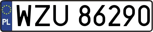 WZU86290