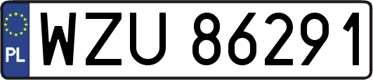 WZU86291