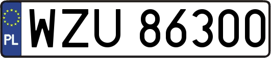 WZU86300