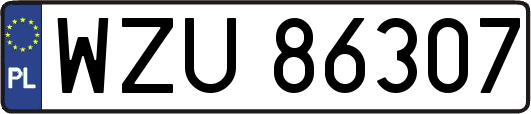 WZU86307