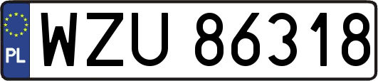 WZU86318
