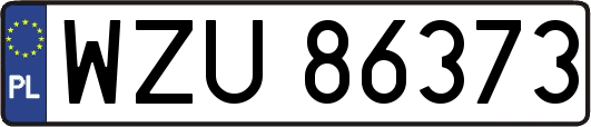 WZU86373