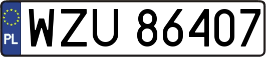 WZU86407