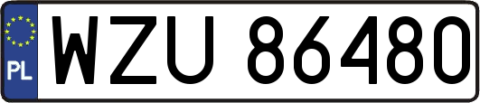 WZU86480