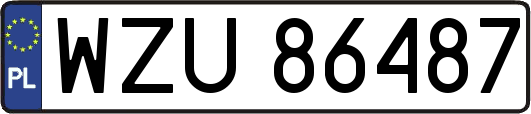 WZU86487