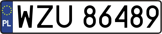 WZU86489