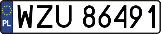 WZU86491