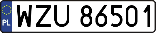 WZU86501