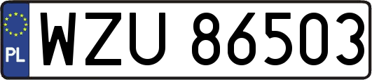WZU86503