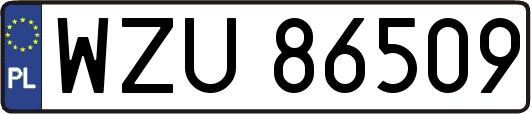 WZU86509