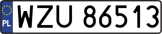 WZU86513