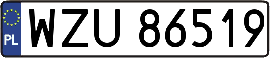 WZU86519