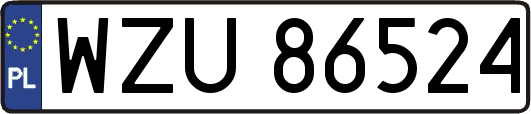 WZU86524