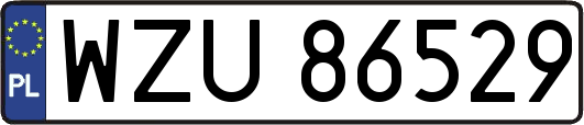 WZU86529
