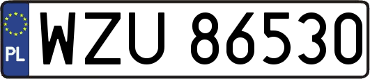 WZU86530
