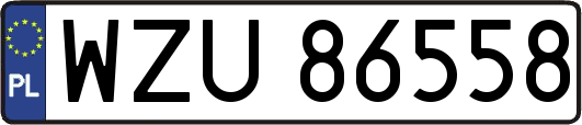 WZU86558
