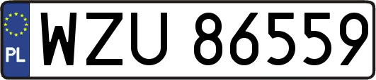 WZU86559