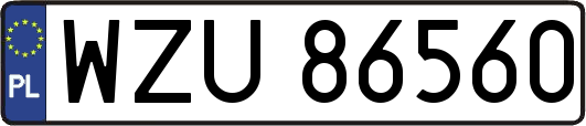 WZU86560