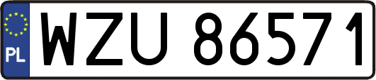 WZU86571