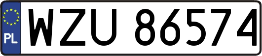 WZU86574
