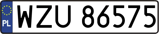 WZU86575