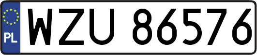 WZU86576