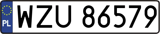 WZU86579