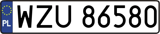 WZU86580