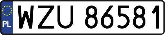 WZU86581
