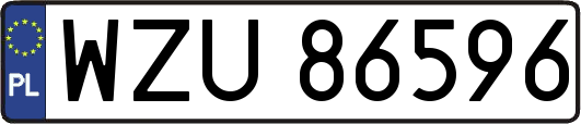 WZU86596