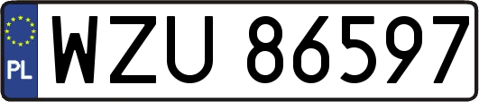 WZU86597