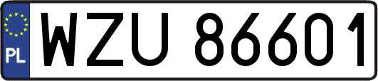 WZU86601