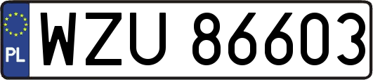 WZU86603