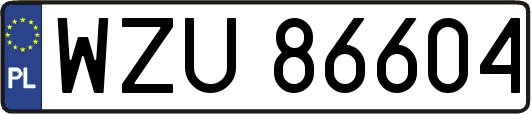 WZU86604