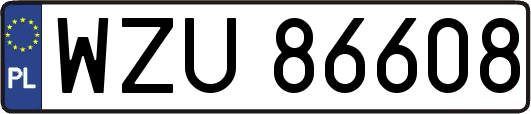 WZU86608