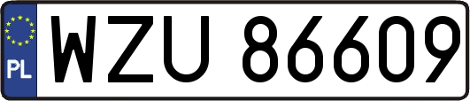 WZU86609