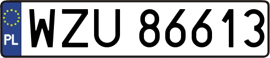 WZU86613