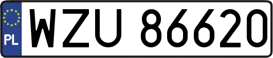 WZU86620