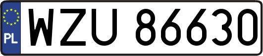 WZU86630