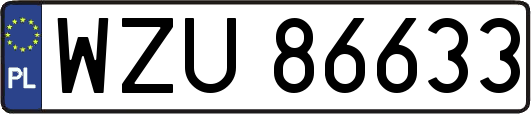 WZU86633