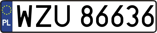WZU86636