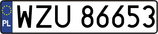 WZU86653