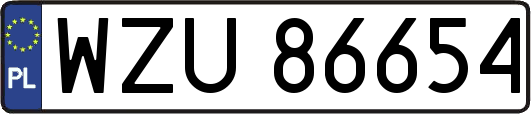 WZU86654