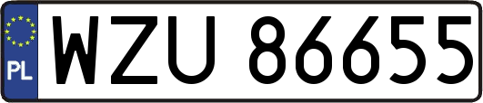 WZU86655