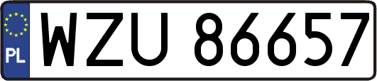 WZU86657