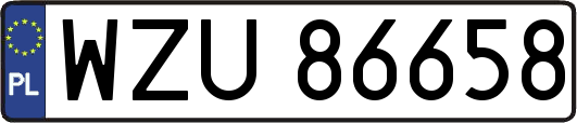 WZU86658