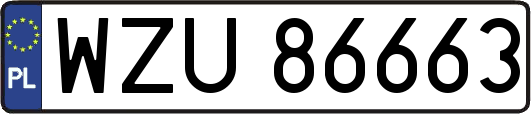 WZU86663