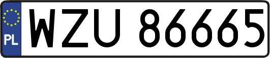 WZU86665